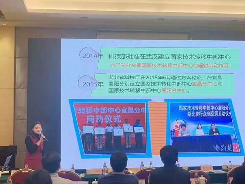 向艷 探索科技中介服務新模式，激活創新生態系統